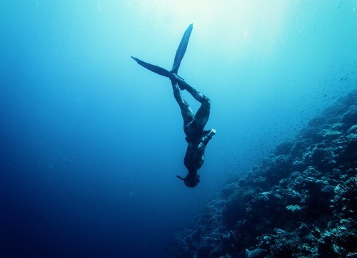 Freedive Gili Trawangan