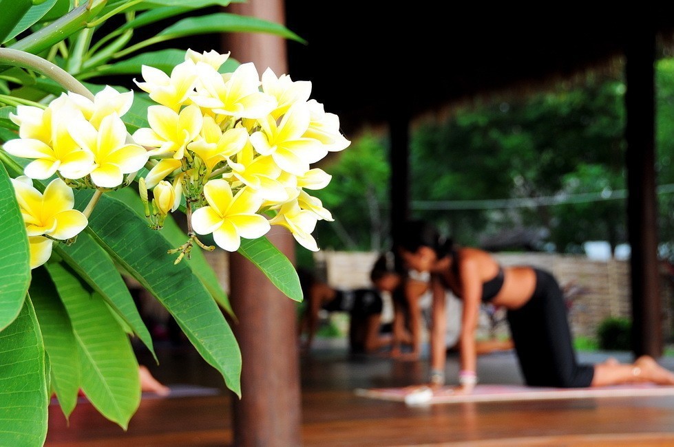 yoga classes gili islands